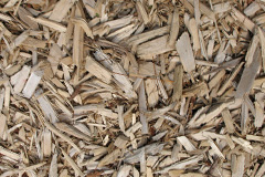 biomass boilers Maggieknockater